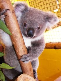  Mackay Tourism