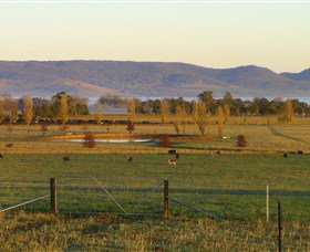 Holbrook NSW Mackay Tourism