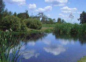 Yan Yean Reservoir Park - Mackay Tourism 0