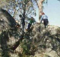 Mount Samaria State Park - Mackay Tourism