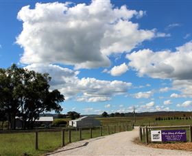 Short Sheep Micro-Winery - Mackay Tourism 8