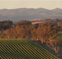 Angullong Wines