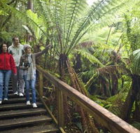 Otway Fly Treetop Adventures - Mackay Tourism
