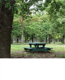 Lindsay Pryor National Arboretum - Mackay Tourism 1