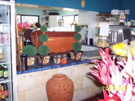 Warwicks Gardens Galore - Mackay Tourism 2