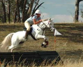 National Equestrian Centre - Kerrabee - Mackay Tourism 0