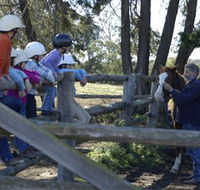 Harlow Park Horse Riding - Mackay Tourism