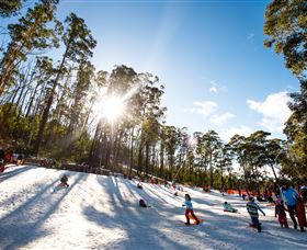 Corin Forest Mountain Resort - Mackay Tourism 1