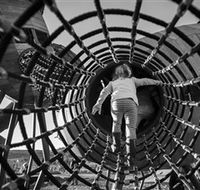 Pod Playground at the National Arboretum - Mackay Tourism