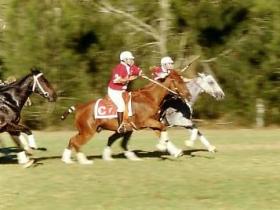 Morgan Park, Warwick - Mackay Tourism 0