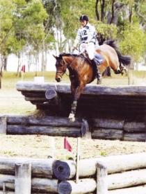 Morgan Park, Warwick - Mackay Tourism 1