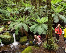 Erica ACT Mackay Tourism