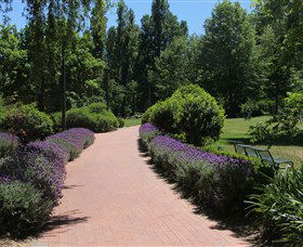Glebe Park - Mackay Tourism 1