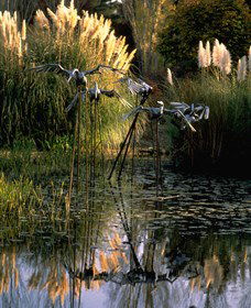 Commonwealth Park - Mackay Tourism 3