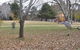 Disc Golf Course - thumb 2