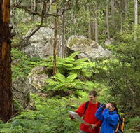 Centennial Glen - Mackay Tourism