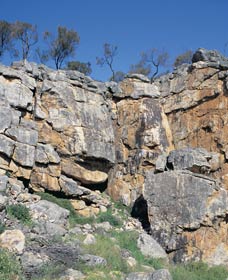 Watheroo National Park - Mackay Tourism 0
