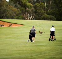 Federal Golf Club - Mackay Tourism