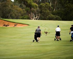 Federal Golf Club - Mackay Tourism 0