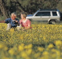 Coalseam Conservation Park - Mackay Tourism