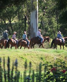 Springvale Horse Treks - Mackay Tourism 1