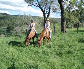 Springvale Horse Treks - Mackay Tourism 3