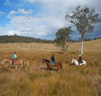 Chapman Valley Horse Riding - Mackay Tourism