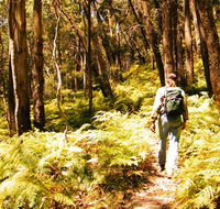 Federal Pass - Mackay Tourism