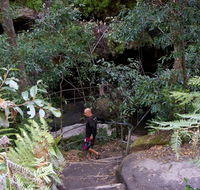 Leura Cascades Fern Bower - Mackay Tourism