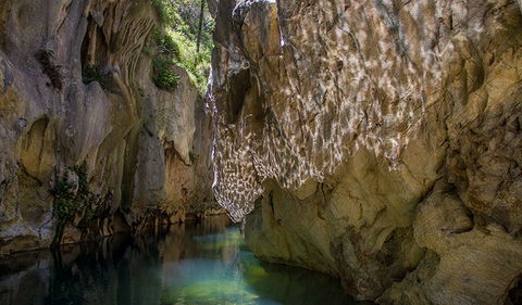 Mares Forest Creek Walking Track - Mackay Tourism 2