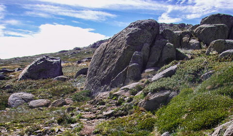 Mount Stillwell Walk - Mackay Tourism 0