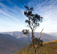 Salisbury Waters walking track - Mackay Tourism