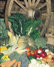 Mulgowie Real Farmers Markets - Mackay Tourism 0