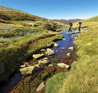 Australian Alps Walking Track - Mackay Tourism