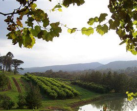 Enniskillen Orchard - Mackay Tourism 1