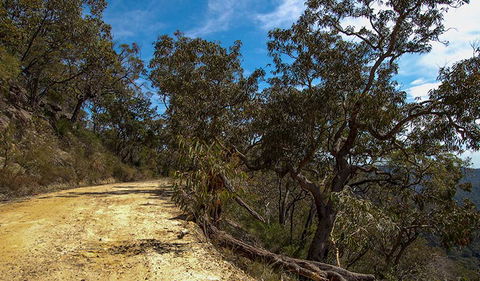 Parr State Conservation Area - Mackay Tourism 0