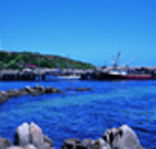 King Island Dairies - Mackay Tourism