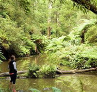 Morwell National Park - Mackay Tourism