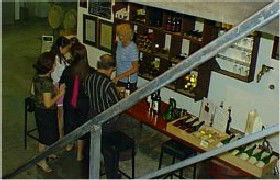 John Kosovich Wines - Mackay Tourism 1