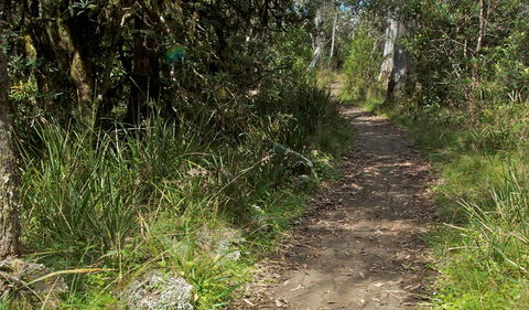 Devils Hole Lookout Walk And Picnic Area - Mackay Tourism 2