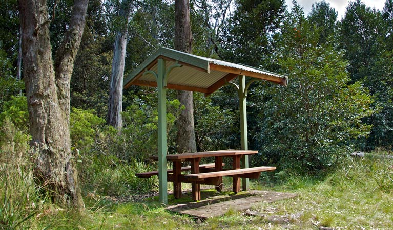 Cobark NSW Mackay Tourism