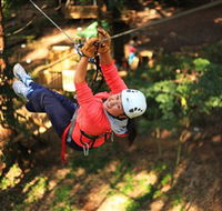 Trees Adventure Grose River Park - Mackay Tourism
