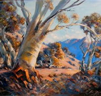 Kunama Snowy Mountains Centre for the Arts - Mackay Tourism