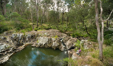 Koreelah National Park - Mackay Tourism 2