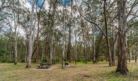 Koreelah National Park - Mackay Tourism 3