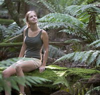 Barrington Tops National Park - Honeysuckle Forest Track - Mackay Tourism