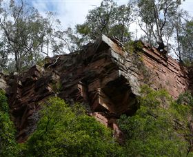 Mitchell River Walking Track - Mackay Tourism 2