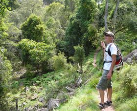 Mitchell River Walking Track - Mackay Tourism 1