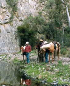 Yarramba Horse Riding - Mackay Tourism 0