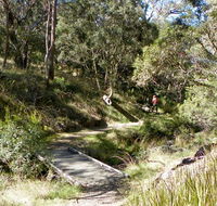 Wollomombi walking track - Mackay Tourism